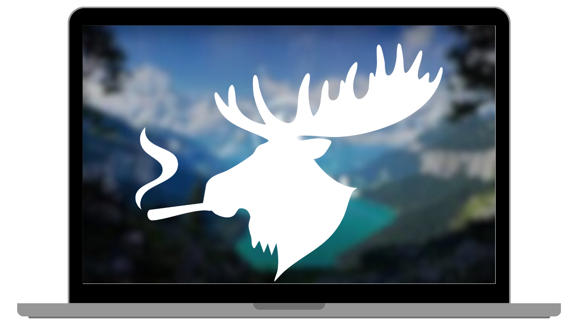 Software Screenshot